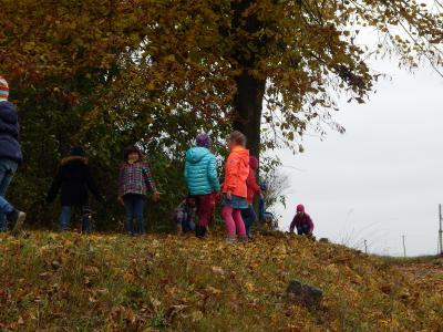 Foto des Albums: Der Herbst in der Klasse 1