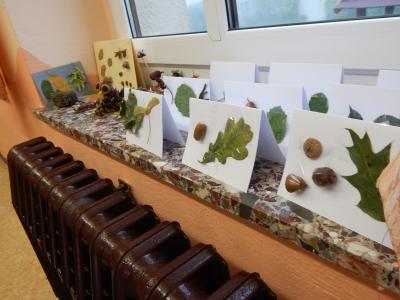 Foto des Albums: Der Herbst in der Klasse 1