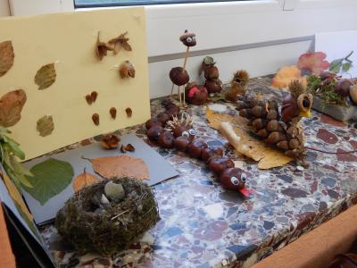 Foto des Albums: Der Herbst in der Klasse 1