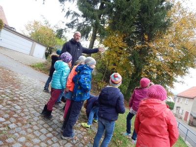 Foto des Albums: Der Herbst in der Klasse 1