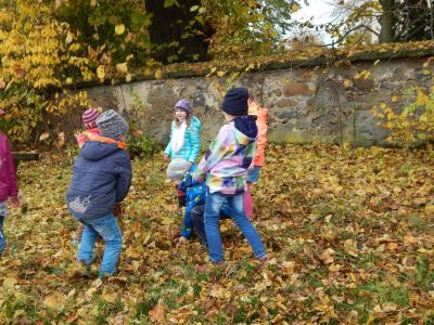 Foto des Albums: Der Herbst in der Klasse 1