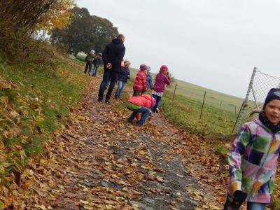 Foto des Albums: Der Herbst in der Klasse 1