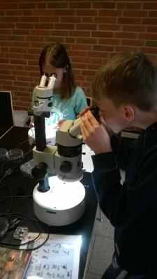 Foto des Albums: Die Klasse 6b in Kiel: Theorie zum Anfassen