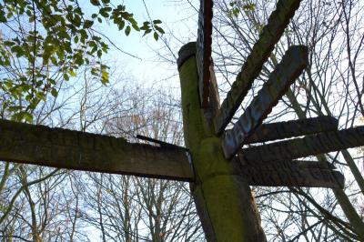 Foto des Albums: Eröffnung der Dauerausstellung Spurensuche: Mauer