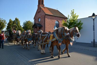 Foto des Albums: Volksfest 2016