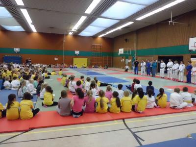 Foto des Albums: Judotag in Holzwickede (12.11.2014)