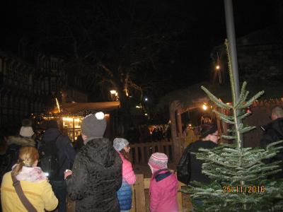 Foto des Albums: Weihnachtsmarkt in Goslar am 25.November 2016