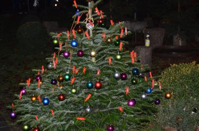 Foto des Albums: Christkindlmarkt 2016