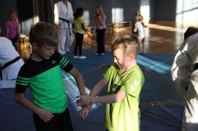 Foto des Albums: Tag des Judo 2016- Bilder der 1. Klassen