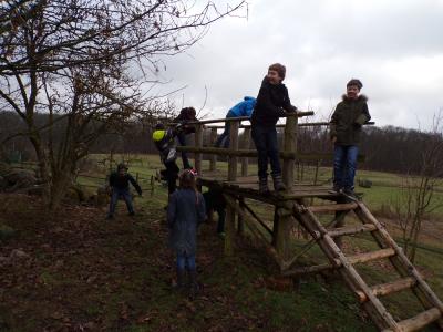 Foto des Albums: Weihnachtsprojekt der 4. Klassen im Forsthof Dümmer