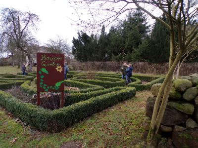 Foto des Albums: Weihnachtsprojekt der 4. Klassen im Forsthof Dümmer