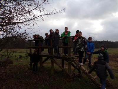 Foto des Albums: Weihnachtsprojekt der 4. Klassen im Forsthof Dümmer