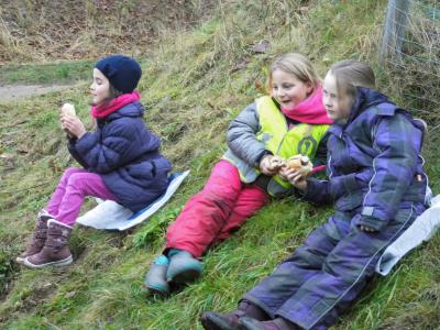 Foto des Albums: Weihnachtswanderung der Klassen 1c und 2c