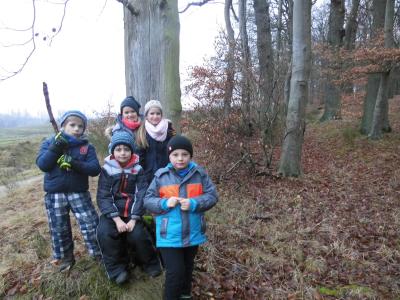 Foto des Albums: Weihnachtswanderung der Klassen 1c und 2c
