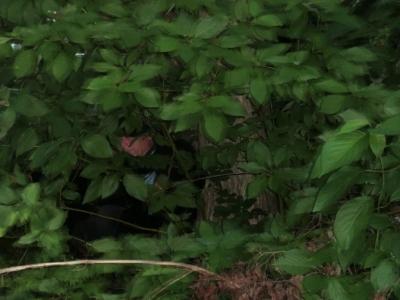 Foto des Albums: Unsere Hort-Abschlussrüste 2016