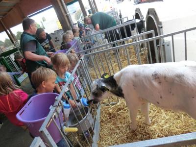 Foto des Albums: Der besondere Tag in Köllitsch 2016