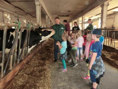 Foto des Albums: Der besondere Tag in Köllitsch 2016