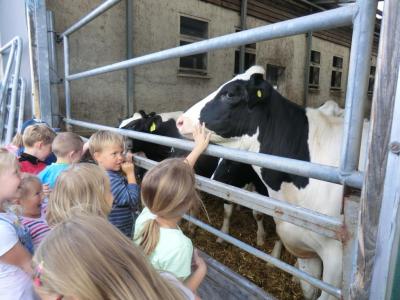 Foto des Albums: Der besondere Tag in Köllitsch 2016