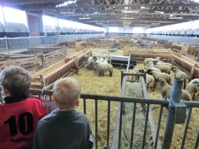 Foto des Albums: Der besondere Tag in Köllitsch 2016