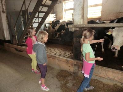 Foto des Albums: Der besondere Tag in Köllitsch 2016