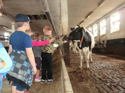 Foto des Albums: Der besondere Tag in Köllitsch 2016