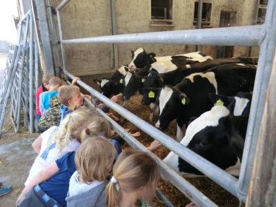 Foto des Albums: Der besondere Tag in Köllitsch 2016