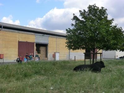 Foto des Albums: Der besondere Tag in Köllitsch 2016