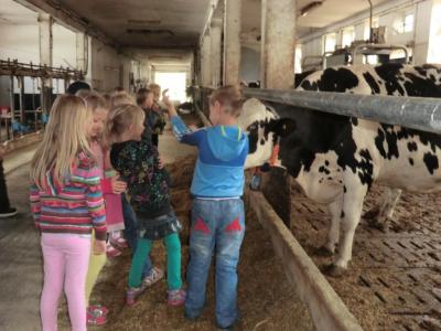 Foto des Albums: Der besondere Tag in Köllitsch 2016