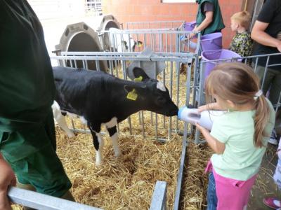 Foto des Albums: Der besondere Tag in Köllitsch 2016