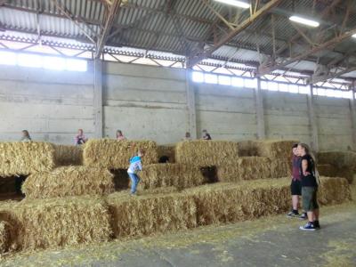 Foto des Albums: Der besondere Tag in Köllitsch 2016