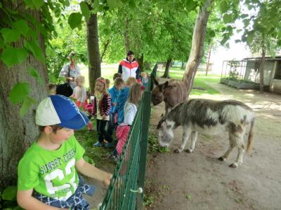 Foto des Albums: Die Abschlussrüste und  für unsere Vorschulkinder 2016