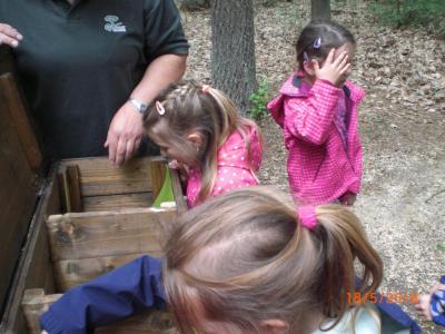 Foto des Albums: Die Abschlussrüste und  für unsere Vorschulkinder 2016