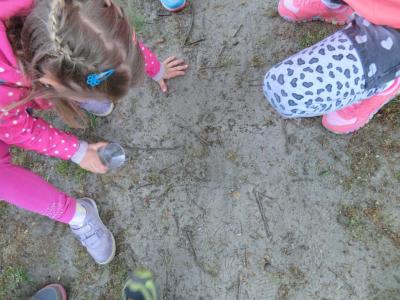 Foto des Albums: Die Abschlussrüste und  für unsere Vorschulkinder 2016