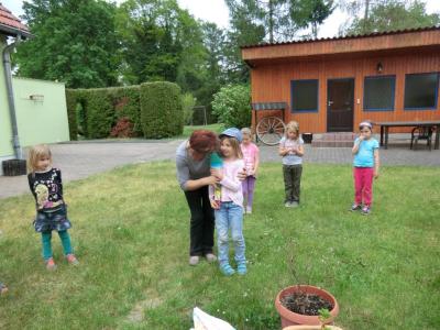 Foto des Albums: Die Abschlussrüste und  für unsere Vorschulkinder 2016