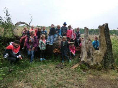 Foto des Albums: Die Abschlussrüste und  für unsere Vorschulkinder 2016