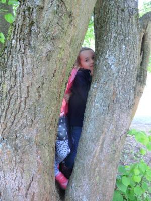 Foto des Albums: Die Abschlussrüste und  für unsere Vorschulkinder 2016