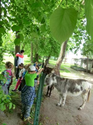 Foto des Albums: Die Abschlussrüste und  für unsere Vorschulkinder 2016