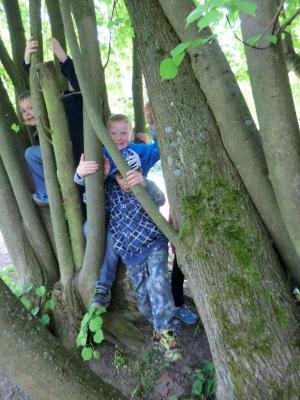 Foto des Albums: Die Abschlussrüste und  für unsere Vorschulkinder 2016