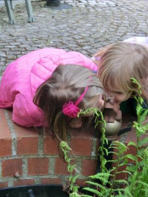 Foto des Albums: Die Abschlussrüste und  für unsere Vorschulkinder 2016