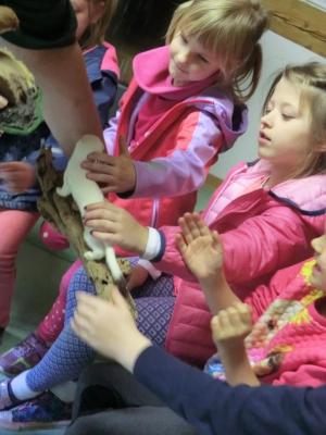 Foto des Albums: Die Abschlussrüste und  für unsere Vorschulkinder 2016