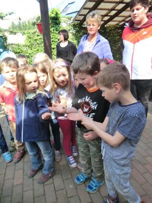 Foto des Albums: Die Abschlussrüste und  für unsere Vorschulkinder 2016