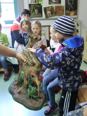 Foto des Albums: Die Abschlussrüste und  für unsere Vorschulkinder 2016
