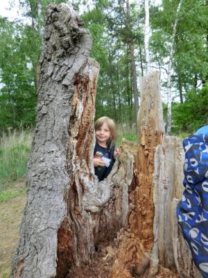 Foto des Albums: Die Abschlussrüste und  für unsere Vorschulkinder 2016