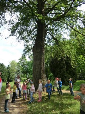 Foto des Albums: Die Abschlussrüste und  für unsere Vorschulkinder 2016