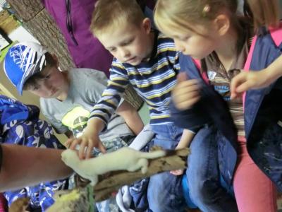 Foto des Albums: Die Abschlussrüste und  für unsere Vorschulkinder 2016