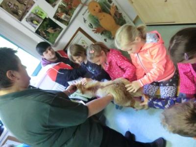 Foto des Albums: Die Abschlussrüste und  für unsere Vorschulkinder 2016