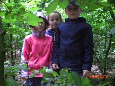 Foto des Albums: Die Abschlussrüste und  für unsere Vorschulkinder 2016