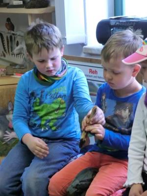 Foto des Albums: Die Abschlussrüste und  für unsere Vorschulkinder 2016