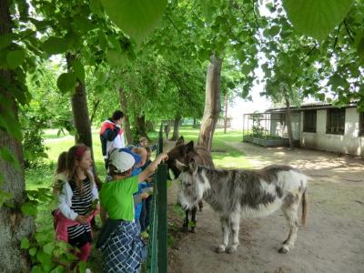 Foto des Albums: Die Abschlussrüste und  für unsere Vorschulkinder 2016