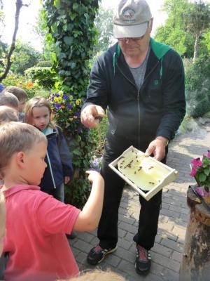 Foto des Albums: Die Abschlussrüste und  für unsere Vorschulkinder 2016